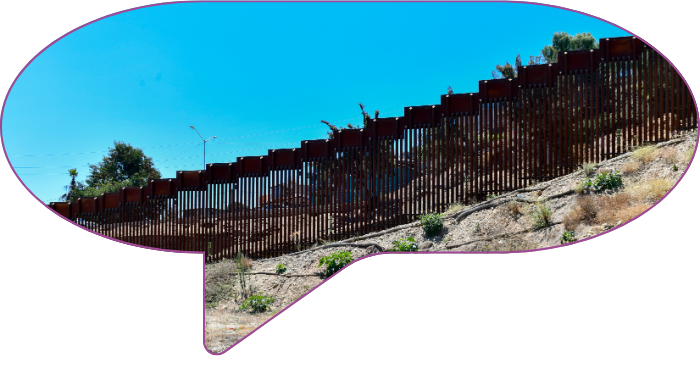 Immigration